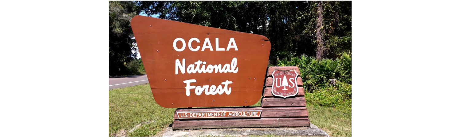 Ocala National Forest Loop.