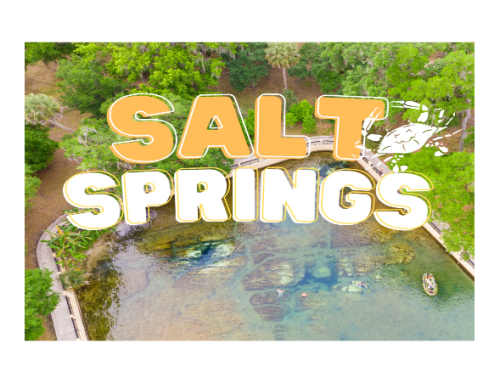 Salt Springs | NE Loop | Nowhere Ride