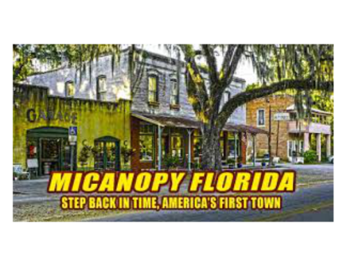 Micanopy | North / South Loop | Nowhere Ride