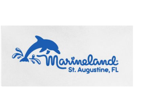 St. Augustine | Marineland Dolphin Adventure